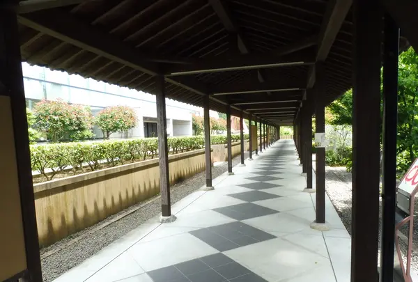 山県市役所 古田紹欽記念館の写真・動画_image_203278
