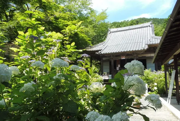 三光寺の写真・動画_image_203284