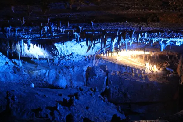 面不動鍾乳洞の写真・動画_image_203286