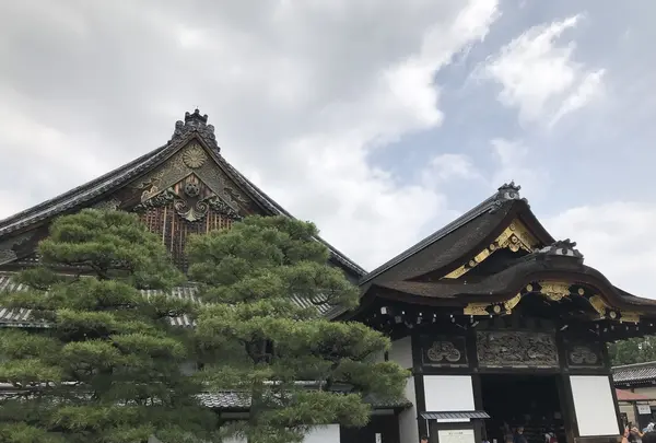 元離宮 二条城の写真・動画_image_203289