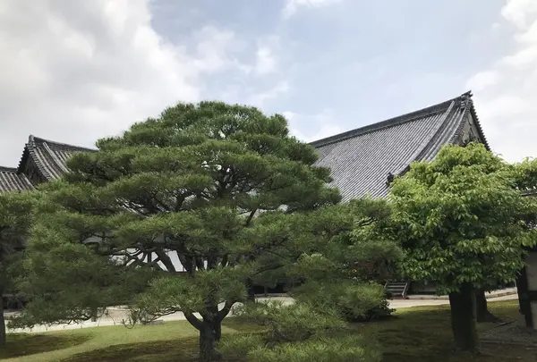 元離宮 二条城の写真・動画_image_203293