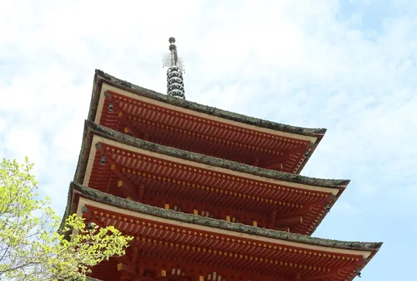 長谷寺の写真・動画_image_203314