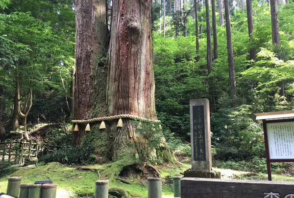 御岩神社の写真・動画_image_203395