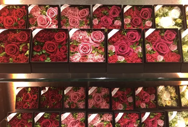 Millefiori 表参道ヒルズ店の写真・動画_image_203400