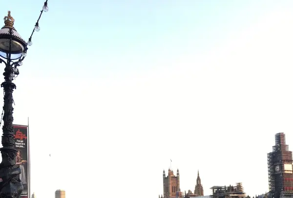 ロンドン・アイの写真・動画_image_203487