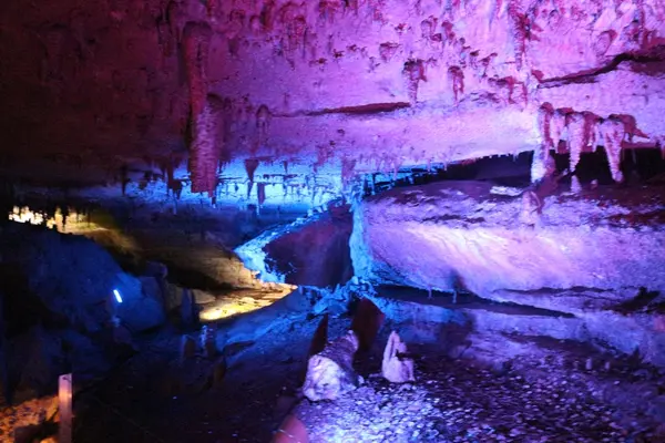 面不動鍾乳洞の写真・動画_image_203547