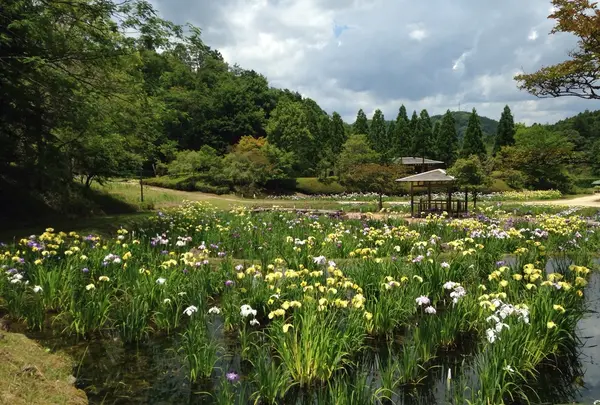 矢野温泉公園四季の里の写真・動画_image_203649