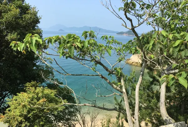 大久野島の写真・動画_image_203823