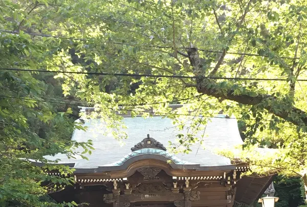 御霊神社の写真・動画_image_203828