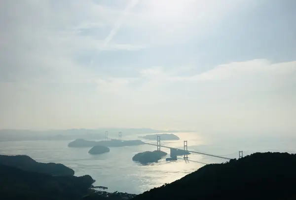 大島の写真・動画_image_203844