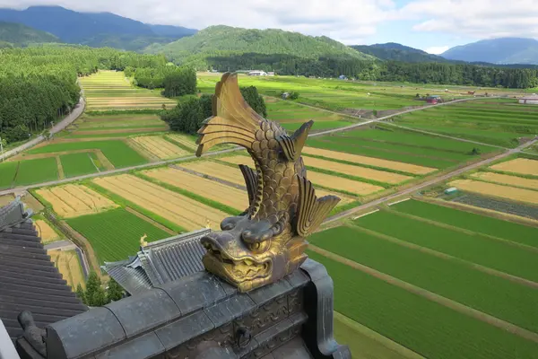 勝山城博物館の写真・動画_image_203876