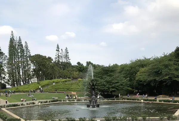 世田谷公園の写真・動画_image_203948