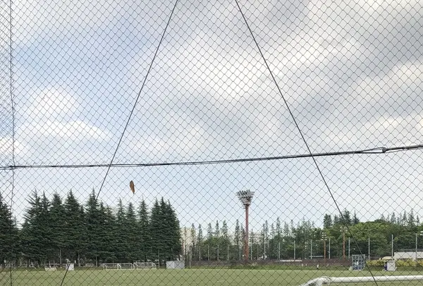 世田谷公園の写真・動画_image_203949