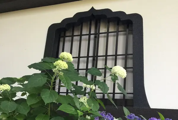 長谷寺の写真・動画_image_204001