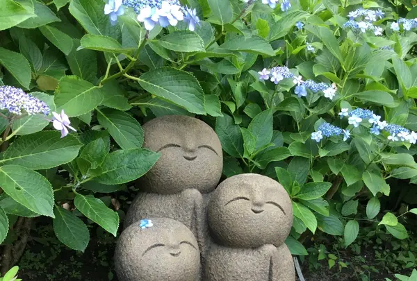 長谷寺の写真・動画_image_204013