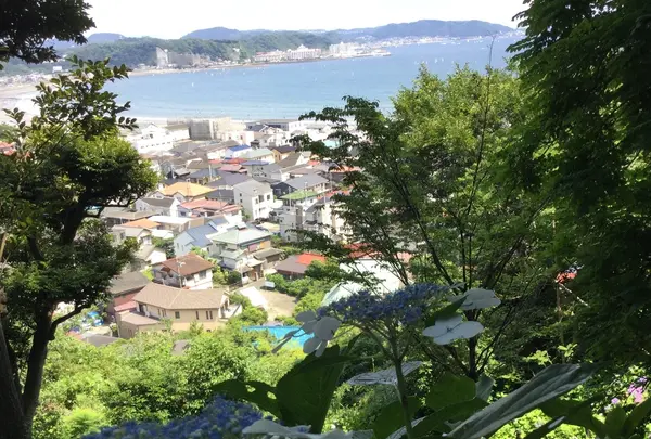 長谷寺の写真・動画_image_204021