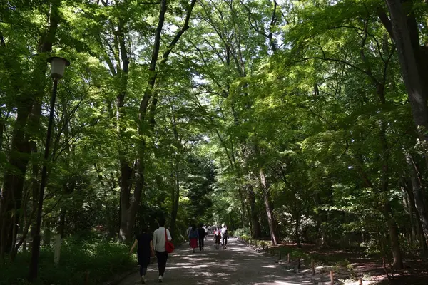 下鴨神社（賀茂御祖神社）の写真・動画_image_204025
