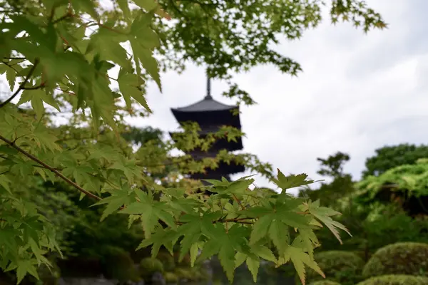 東寺（教王護国寺）の写真・動画_image_204052
