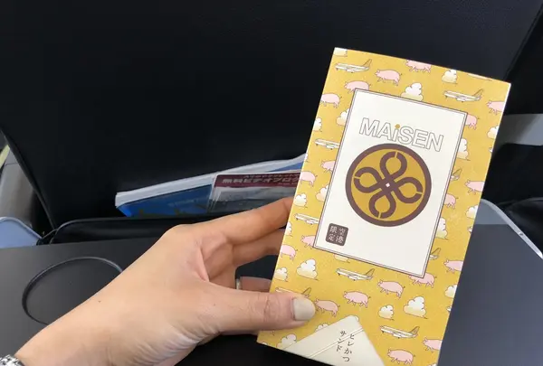 羽田空港（東京国際空港）の写真・動画_image_204103