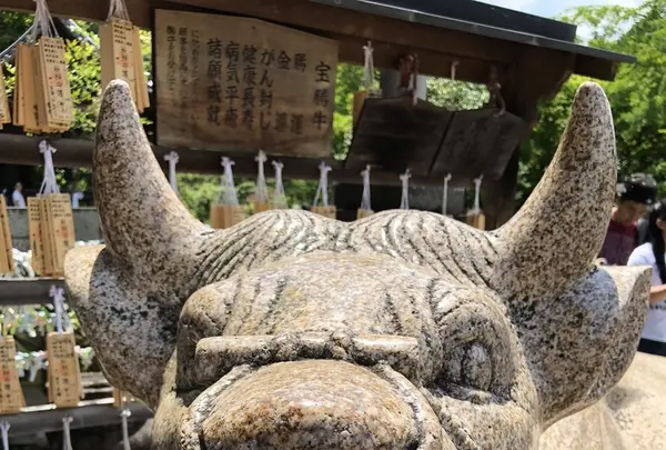 三室戸寺の写真・動画_image_204118