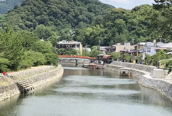 朝霧橋の写真・動画_image_204156