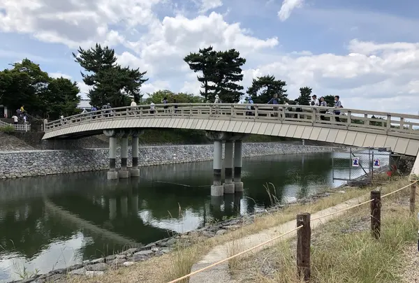 朝霧橋の写真・動画_image_204157