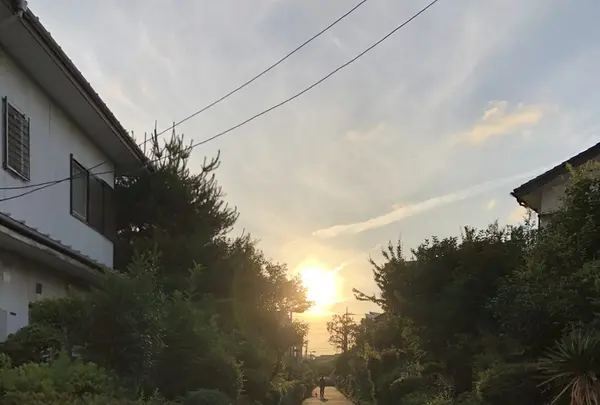 水道路［相模原市］（バス）の写真・動画_image_204198