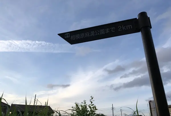 水道路［相模原市］（バス）の写真・動画_image_204201