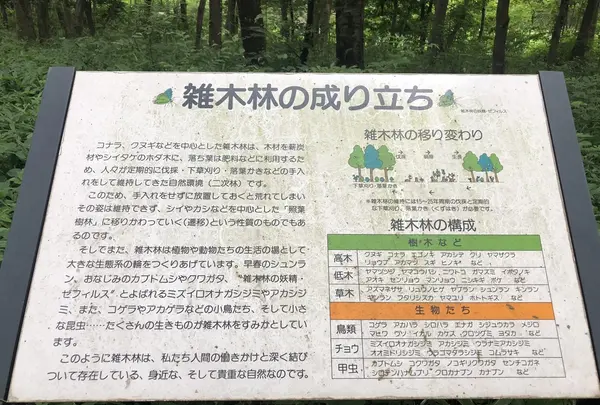 智光山公園中央広場の写真・動画_image_204382