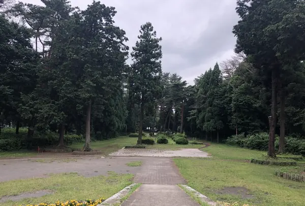 智光山公園中央広場の写真・動画_image_204384
