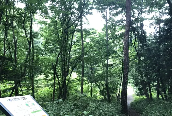 智光山公園中央広場の写真・動画_image_204385