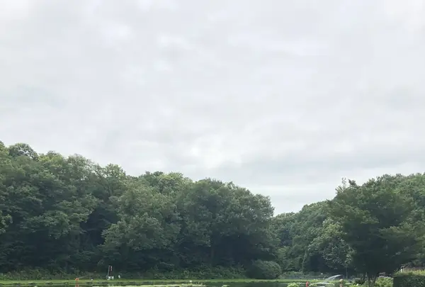 智光山公園前山池の写真・動画_image_204404