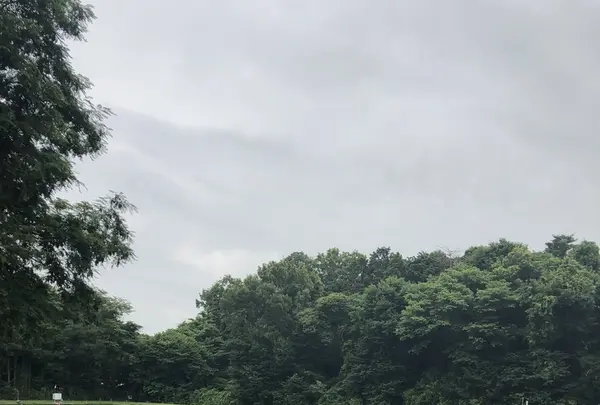 智光山公園前山池の写真・動画_image_204408