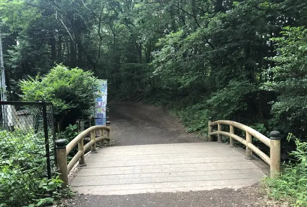 智光山公園前山池の写真・動画_image_204409