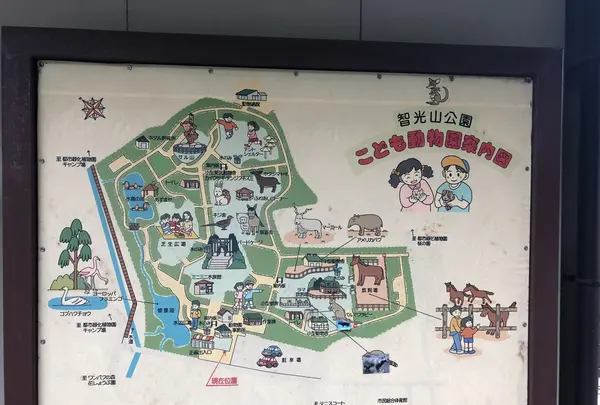 智光山公園子供動物園の写真・動画_image_204415