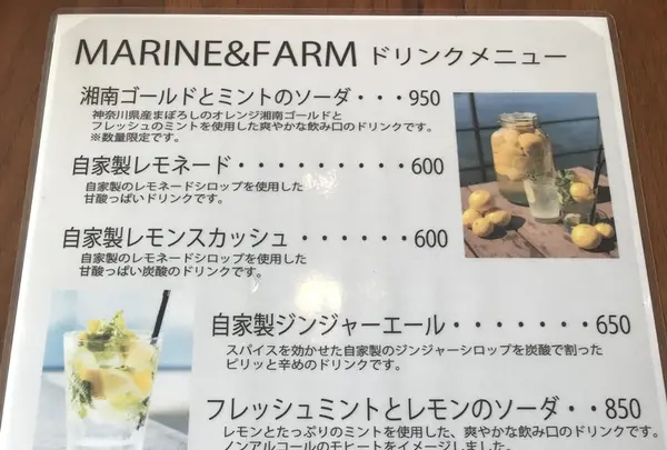 MARINE & FARM 佐島の写真・動画_image_204543