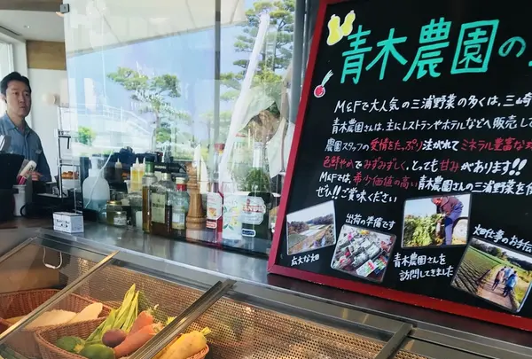 MARINE & FARM 佐島の写真・動画_image_204544