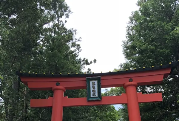 熊野速玉大社の写真・動画_image_204554