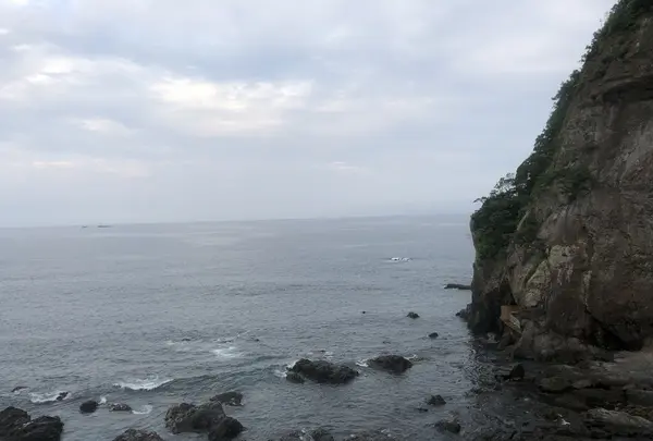 ホテル浦島の写真・動画_image_204674