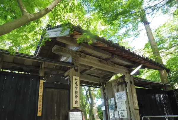 山の寺寺院群の写真・動画_image_204680