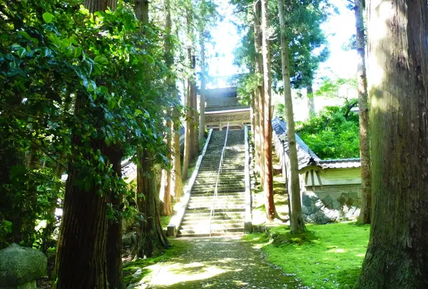 永光寺の写真・動画_image_204682