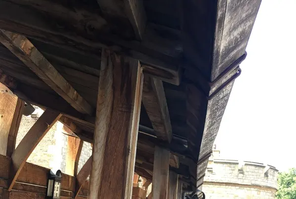 ロンドン塔（Tower of London）の写真・動画_image_204716