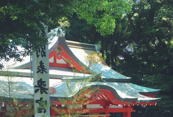 來宮神社の写真・動画_image_204829