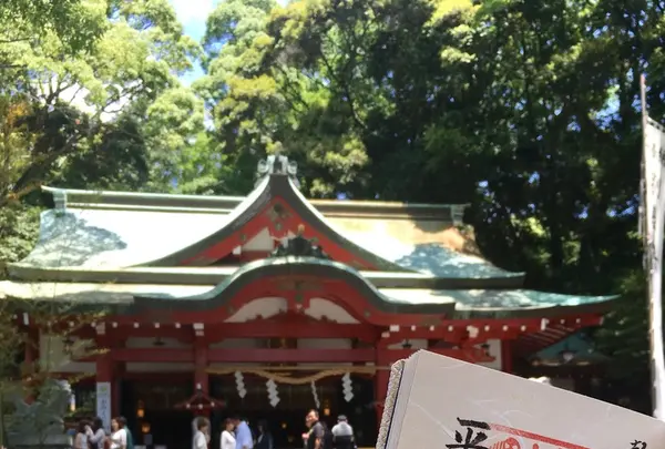 來宮神社の写真・動画_image_204830