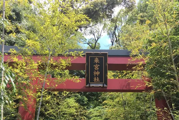 來宮神社の写真・動画_image_204831
