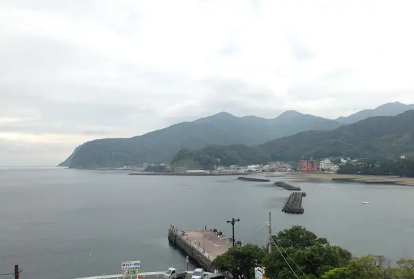 海花亭 いずみの写真・動画_image_204859