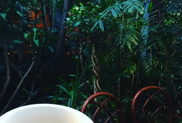 green parlour ベルベールの写真・動画_image_204899
