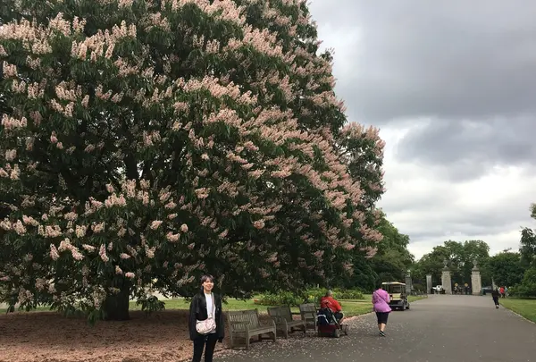 ロイヤル・ボタニック・ガーデンズ, キュー(Royal Botanic Gardens, Kew)の写真・動画_image_205004