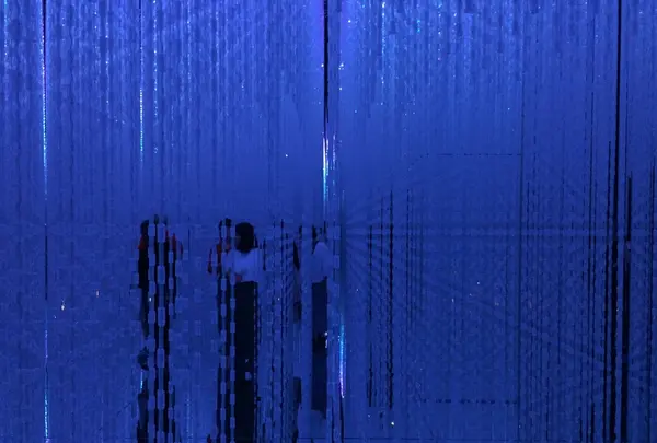 【閉業】森ビルデジタルアートミュージアム：エプソン チームラボボーダレス（MORI Building Digital Art Museum: EPSON teamLab Borderless）の写真・動画_image_205057