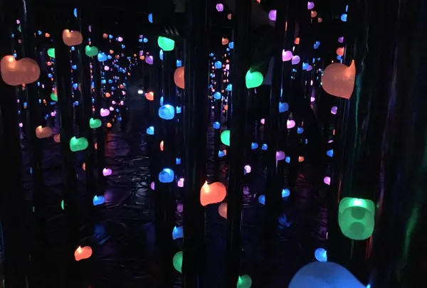 【閉業】森ビルデジタルアートミュージアム：エプソン チームラボボーダレス（MORI Building Digital Art Museum: EPSON teamLab Borderless）の写真・動画_image_205063